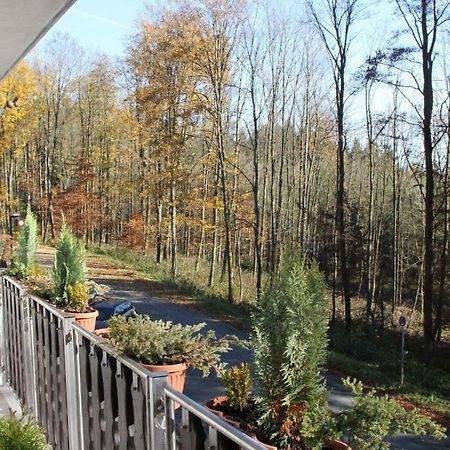 Pension Walddorf Winterberg Exterior photo