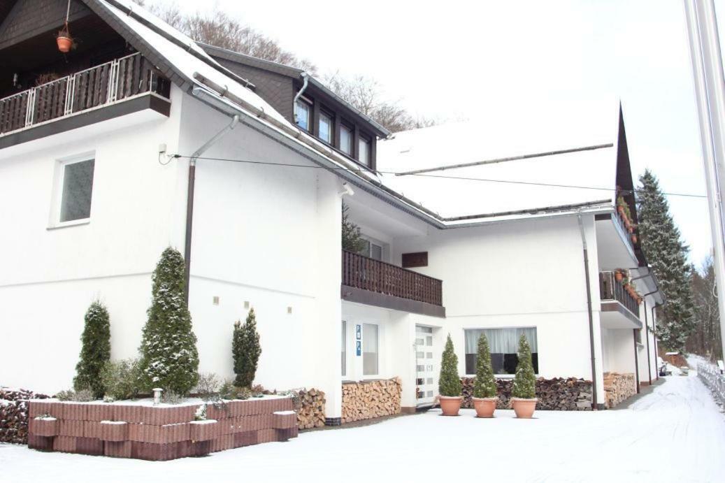 Pension Walddorf Winterberg Exterior photo